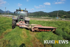 소 사육농가 돕는다...남원시, 조사료 생산 기반 35억 투자