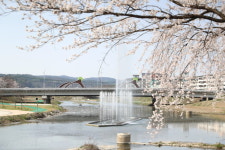 의성군, 남대천 고향의 강 조성사업 완료… 4.8km 정비