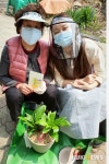 태백 구문소동 반려식물로 코로나19 이겨내세요