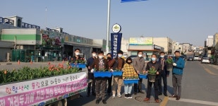 의성군 안계면, 튤립화분 배부로 지역사회 분위기 개선
