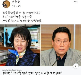손혜원 “양정철 저격 발언 사과안할 것”