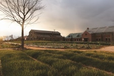 6차산업 체험형 테마공원, 상하농원 개장 4주년 맞아