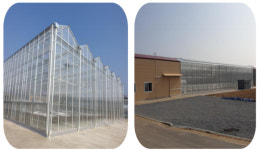 [농업이 미래다] (1)  천안농업기술센터, 한국형 스마트팜 테스트베드 기반 구축