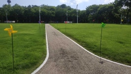 코오롱야외음악당 잔디광장 개방…10m 간격 바람개비 설치