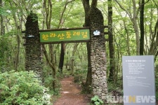제주도에서 1년…한라산둘레길: 동백길