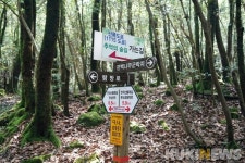 제주도에서 1년…한라산둘레길: 동백길