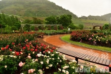 장성군, 평림댐 테마공원 폐쇄