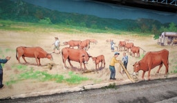 산청군, 산청시장 옛 우시장터 벽화 조성