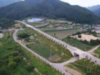 봉화군, 분천산타마을 경관숲 조성에 박차