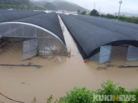 전남 8개 시 '군, 특별재난지역 선포