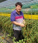 청양군, 2020청양고추왕-청양구기자왕 선정