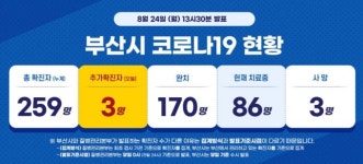 부산서 광화문 집회 참가자 3명 추가 확진···누계 확진자 259명
