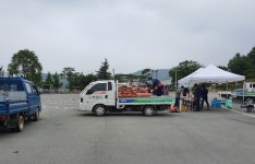 의성군, 의성마늘목장 사료가공용 의성마늘 수매