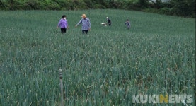 [한가위 특집] 얘들아! 가을걷이 부친다. 화상통화나 하자.