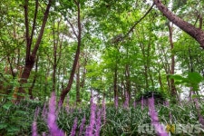 10월엔 우리집 근처 가볍게 걸어요~