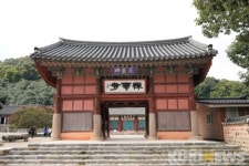 [고창에서 석 달 살기] 선운산 골째기 탐방