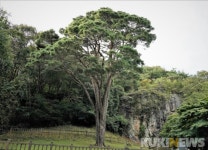 [고창에서 석 달 살기] 선운산 골째기 탐방