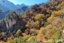 [가봤더니] 깊어가는 강원도의 가을, 색으로 말하다