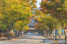 가자, 금빛 억새 출렁이는 곳으로~