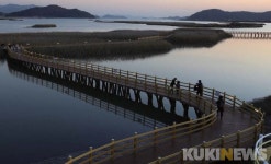 전남 18개 자전거길 ‘바다 품은 자전거길 40선’ 선정