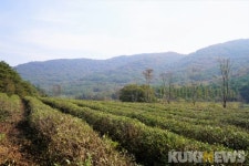[고창에서 석 달 살기] 고창 운곡저수지가 가꾼 오베이골의 람사르 운곡습지