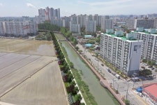 익산시, 명품 가로숲길 조성 ‘한창’