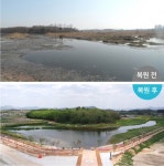 ‘익산천, 수달이 사는 생태하천으로 되살아나’