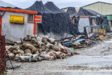 합천군청 서정철 사진작가, 공모전 수상 상금 기금으로 기탁