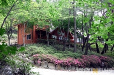 화순 백아산자연휴양림 한천숲캠핑장 휴관