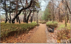 대전 동구,가오근린공원 친환경 힐링공간으로새단장
