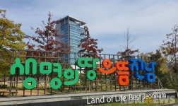 전남 보육사업 대한민국 ‘으뜸’