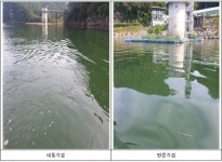 진주 진양호 내동 및 판문지점 조류경보 관심 발령