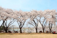 대구 수성못,  꼭 가봐야 할 ‘한국관광 100선’ 선정