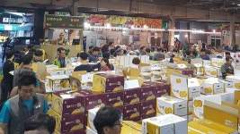 대구도매시장 설 대비 농수산물 수급 가격안정에 총력