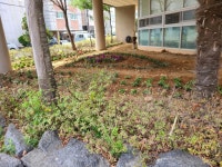 [통영소식] 12명의 실버 바리스타 일자리 창출