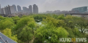 한강, 봄바람에 일렁이는 연초록 물결