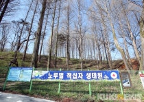 대전 서구, 노루벌에서 구절초와 반딧불이 만나세요
