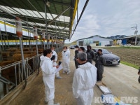 보은군, 한우농가 맞춤형 종합컨설팅 추진