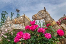 에버랜드, 로즈가든 프랑스 파리 테마공간으로 변신