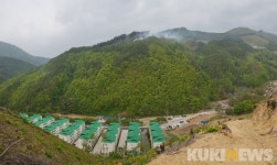 삼척 도계 황조리 산불 주불 진화...0.2ha 소실(종합)