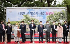 포항 흥해 이팝나무 명소화 사업 마무리