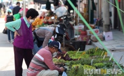 인제 기린전통시장, 66년만에 인정시장 등록