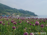 건강한게 예쁘기까지?