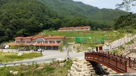 경북도, 백신 접종자 공립 자연휴양림 50% 할인