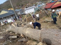 [고성소식] 일상으로의 회복을 준비하는 고성군 노인요양시설