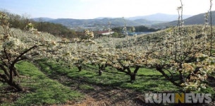 상쾌한 일상 되찾자…원주 천리 굽이길 개통