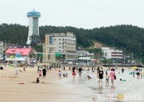 태안군 만리포 등 28개 해수욕장 3일 일제 개장 여름 피서, 오세요!