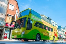 [강원 여행] 웰니스 정선 어디까지 가봤니?