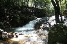 [여기어때] 김해시, 비대면 여름 관광지 夏 플레이스 추천