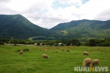 가을에 즐기는 최고의 드라이브코스 어디?